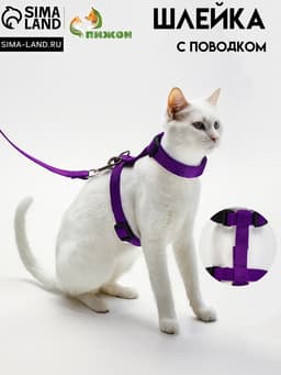 Комплект для кошек, ширина 1.5 см, ОШ 16.5-27 см, ОГ 21-35 см, поводок 120 см, фиолетовый