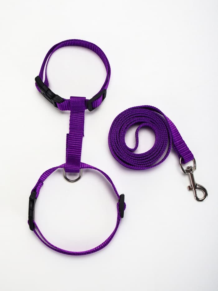 Комплект для кошек, ширина 1.5 см, ОШ 16.5-27 см, ОГ 21-35 см, поводок 120 см, фиолетовый