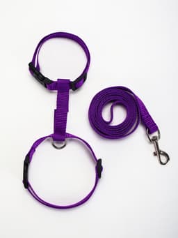 Комплект для кошек, ширина 1.5 см, ОШ 16.5-27 см, ОГ 21-35 см, поводок 120 см, фиолетовый