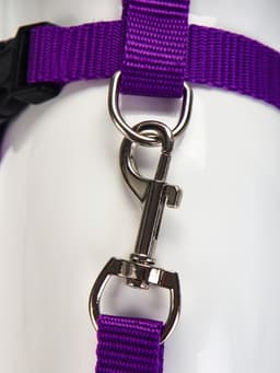 Комплект для кошек, ширина 1.5 см, ОШ 16.5-27 см, ОГ 21-35 см, поводок 120 см, фиолетовый