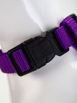 Комплект для кошек, ширина 1.5 см, ОШ 16.5-27 см, ОГ 21-35 см, поводок 120 см, фиолетовый