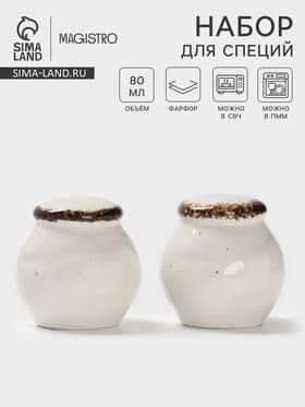 Набор для специй Magistro Alpine Frost, 2 предмета: перечница, солонка, 80 мл, 5×6 см, фарфор, белый