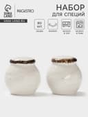 Набор для специй Magistro Alpine Frost, 2 предмета: перечница, солонка, 80 мл, 5×6 см, фарфор, белый