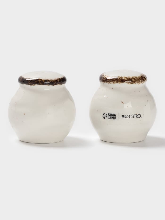 Набор для специй Magistro Alpine Frost, 2 предмета: перечница, солонка, 80 мл, 5×6 см, фарфор, белый