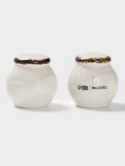 Набор для специй Magistro Alpine Frost, 2 предмета: перечница, солонка, 80 мл, 5×6 см, фарфор, белый