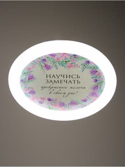 Потолочный светильник светодиодный BayerLux «Цветы», 120 Вт, LED, 49.5×49.5×6.5 см