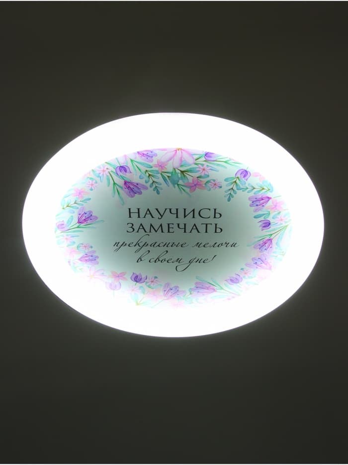 Потолочный светильник светодиодный BayerLux «Цветы», 120 Вт, LED, 49.5×49.5×6.5 см