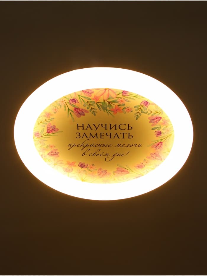 Потолочный светильник светодиодный BayerLux «Цветы», 120 Вт, LED, 49.5×49.5×6.5 см