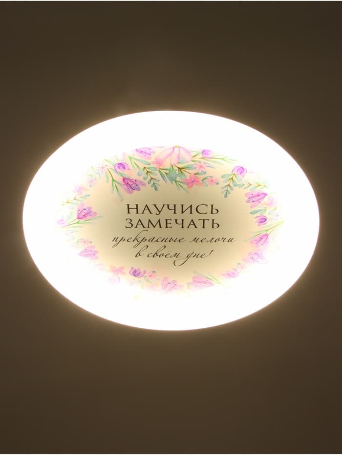 Потолочный светильник светодиодный BayerLux «Цветы», 120 Вт, LED, 49.5×49.5×6.5 см