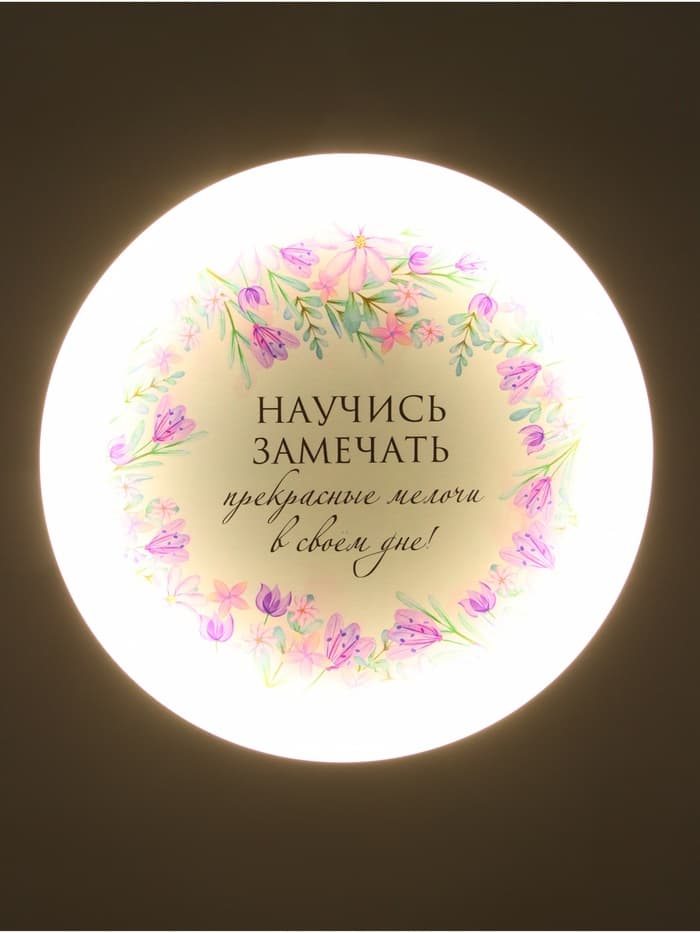 Потолочный светильник светодиодный BayerLux «Цветы», 120 Вт, LED, 49.5×49.5×6.5 см