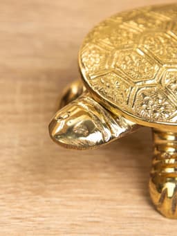 Шкатулка «Черепаха в ромбики», 10×6×3 см, латунь