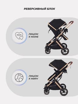 Коляска - трансформер детская RANT basic PULSAR GOLD (2в1) RA160, черный