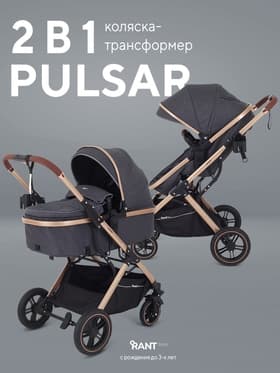 Коляска - трансформер детская RANT basic PULSAR GOLD (2в1) RA160, серый