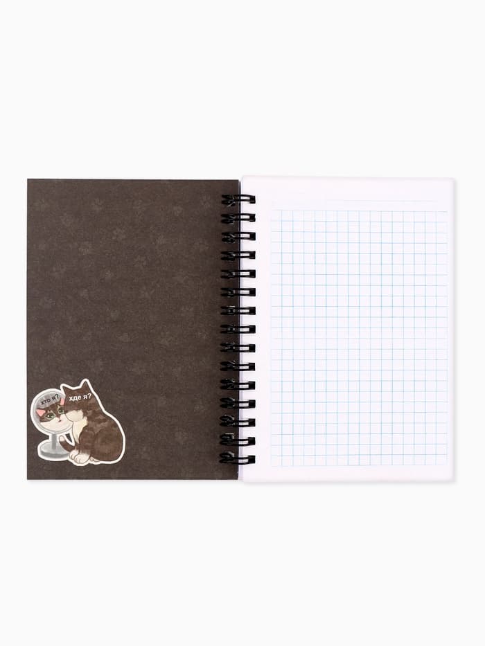Записная книжка А6, 100 листов, в клетку «Мемные коты»