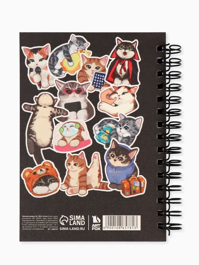 Записная книжка А6, 100 листов, в клетку «Мемные коты»