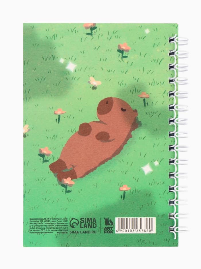 Записная книжка А6, 100 листов, в клетку «Капибара»
