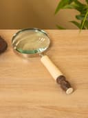 Лупа «Поместье», 24×10 см