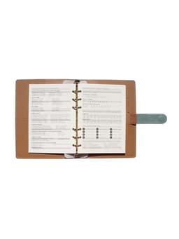 Ежедневник-органайзер, С6, 80 листов, обложка из искусственной кожи, зелёный