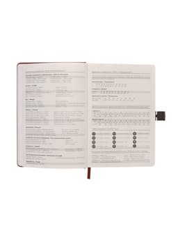 Ежедневник недатированный А5, с хлястиком, 80 листов, в линейку, пвх, коричневый