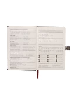 Ежедневник недатированный А5, 80 листов, обложка ПВХ, с хлястиком, чёрный