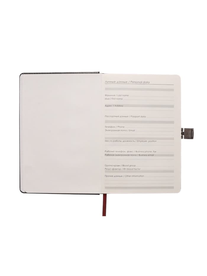 Ежедневник недатированный А5, 80 листов, обложка ПВХ, с хлястиком, чёрный