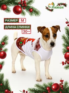 Майка «Респект», размер M (ДС 30, ОШ 30, ОГ 40 см), красная