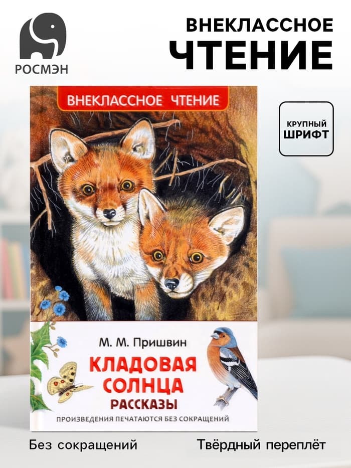 Книга детская для внеклассного чтения «Кладовая солнца», Пришвин М.