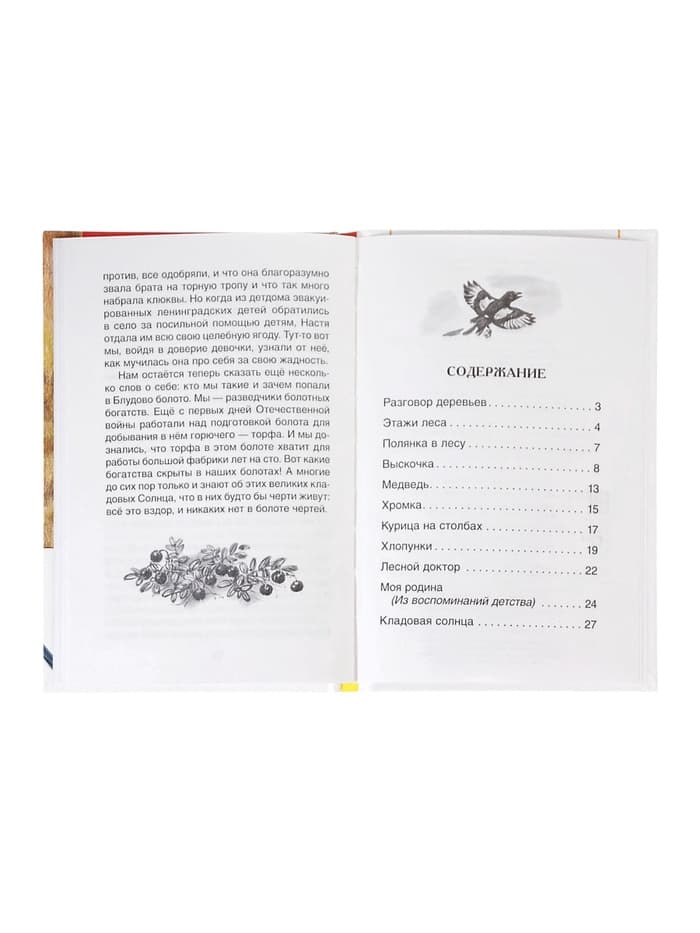 Книга детская для внеклассного чтения «Кладовая солнца», Пришвин М.