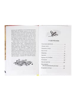 Книга детская для внеклассного чтения «Кладовая солнца», Пришвин М.