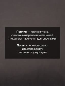 Комплект наволочек «Этель», 50×70 см, 2 шт., чёрный, поплин