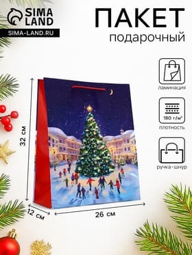 Пакет подарочный новогодний ламинированный, «Новогодний каток», 26×12×32 см