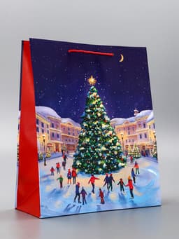 Пакет подарочный новогодний ламинированный, «Новогодний каток», 26×12×32 см