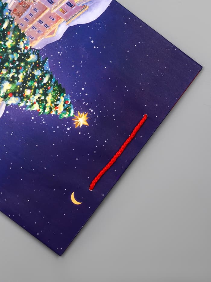 Пакет подарочный новогодний ламинированный, «Новогодний каток», 26×12×32 см