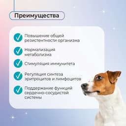 Favet Функциональное лакомство FerrumActive Soft Chews для иммунитета для собак, 120 г