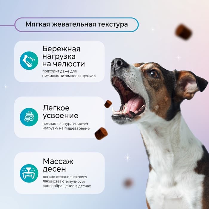 Favet Функциональное лакомство FerrumActive Soft Chews для иммунитета для собак, 120 г