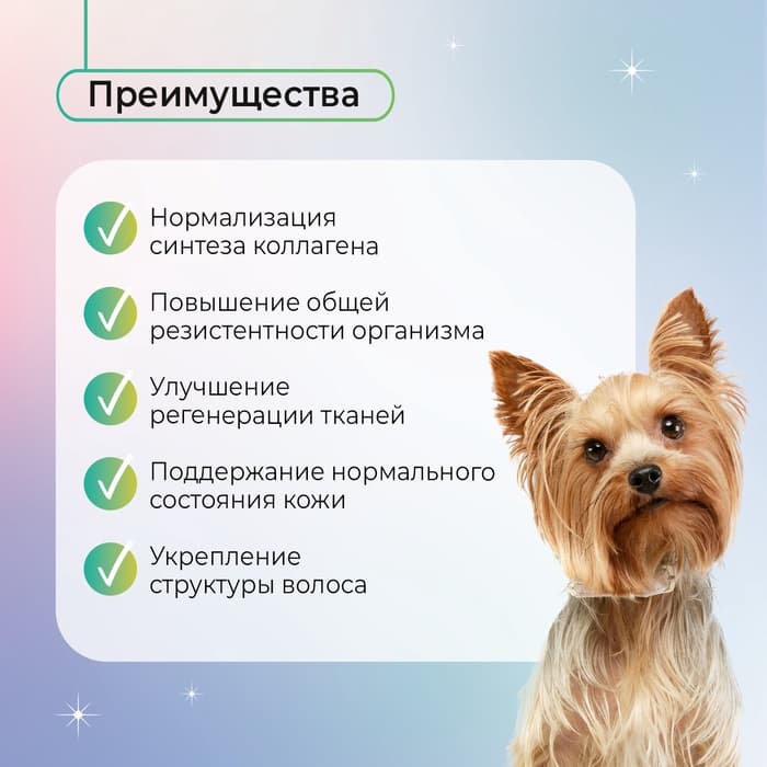 Favet Функциональное лакомство MultivitaminDog Soft Chews для кожи и шерсти для собак, 120 г
