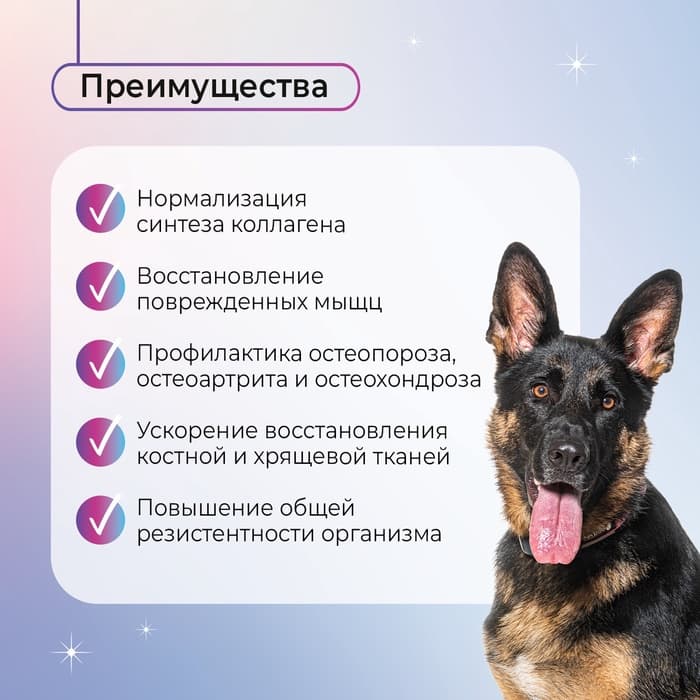Favet Функциональное лакомство PetPantel Soft Chews для мышц и суставов для собак, 120 г