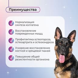 Favet Функциональное лакомство PetPantel Soft Chews для мышц и суставов для собак, 120 г