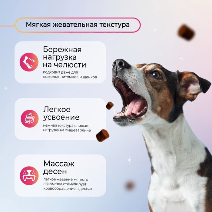 Favet Функциональное лакомство SuperFlora Soft Chews для пищеварительной системы для собак, 120 г 1