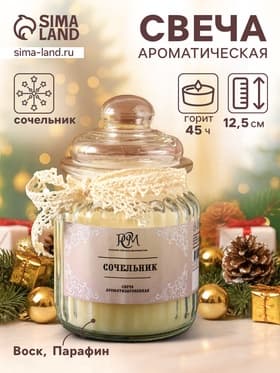 Ароматическая свеча в банке «Сочельник», 45 ч