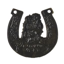 Подкова домовой «Счастья в дом», 7×7 см