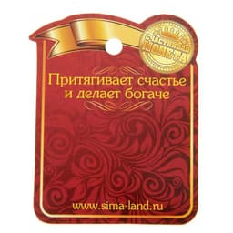 Монета выбора сувенир «Да - Нет», d=2.5 см