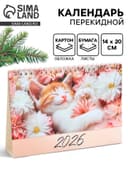 Календарь 2026 настольный, домик «Котенок в цветах» 14×20 см