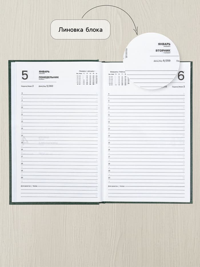 Ежедневник датированный Calligrata, А5, 2026, твёрдая обложка из бумвинила, 168 листов, тёмно-зелёный