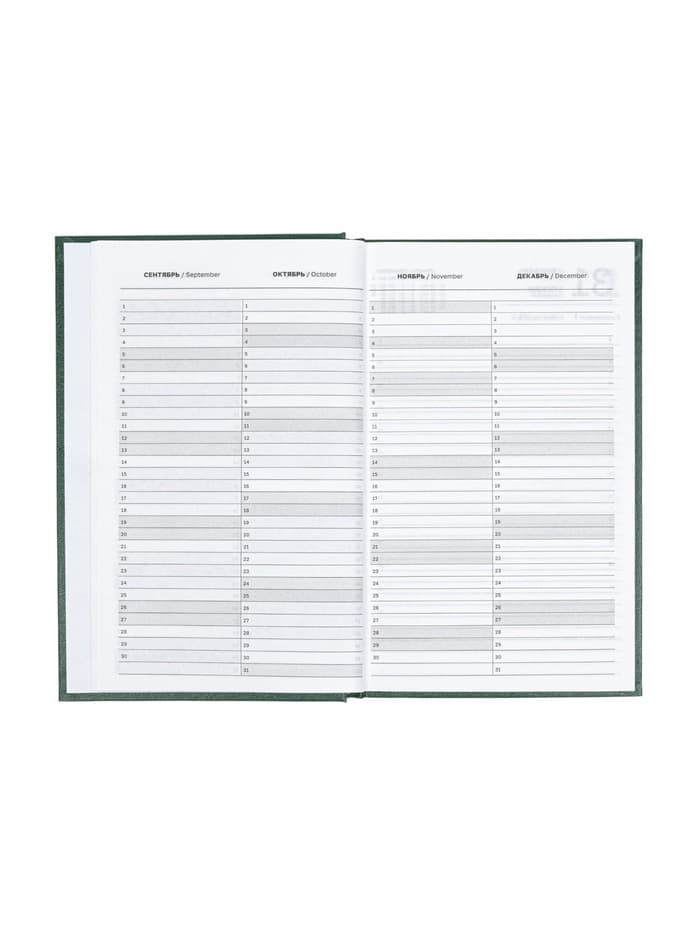 Ежедневник датированный Calligrata, А5, 2026, твёрдая обложка из бумвинила, 168 листов, тёмно-зелёный