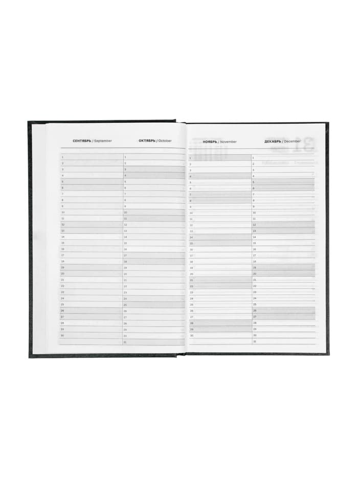 Ежедневник датированный Calligrata, А5, 2026, твёрдая обложка из бумвинила, 168 листов, чёрный