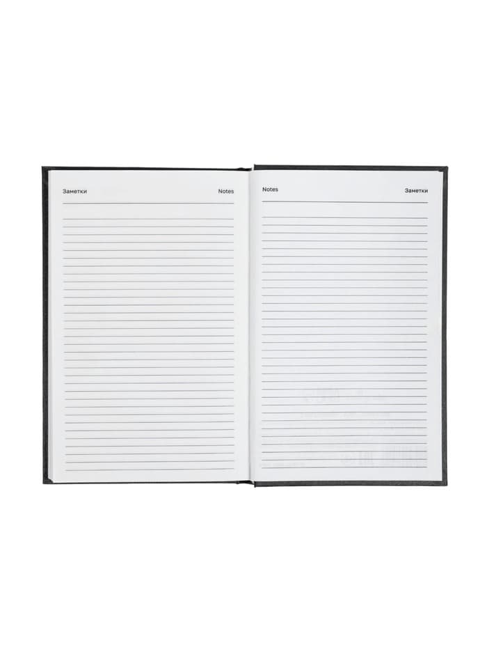 Ежедневник датированный Calligrata, А5, 2026, твёрдая обложка из бумвинила, 168 листов, чёрный