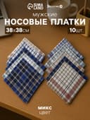 Платки носовые мужские «Экономь и Я. Квадрат», 38×38 см, набор 10 шт., рисунок МИКС