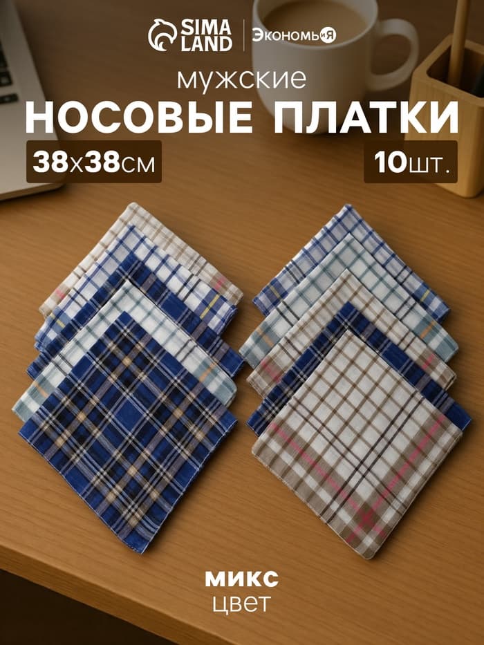 Платки носовые мужские «Экономь и Я. Квадрат», 38×38 см, набор 10 шт., рисунок МИКС