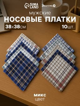 Платки носовые мужские «Экономь и Я. Квадрат», 38×38 см, набор 10 шт., рисунок МИКС